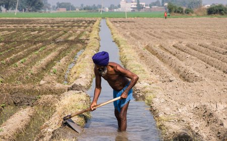 ਜਿਲ੍ਹਾ ਸ਼੍ਰੀ ਮੁਕਤਸਰ ਸਾਹਿਬ ਵਿੱਚ ਕਿਸਾਨਾਂ ਨੂੰ ਝੋਨੇ ਦੀ ਫਸਲ ਲਈ 11 ਜੂਨ ਨੂੰ ਮਿਲੇਗਾ ਨਹਿਰੀ ਪਾਣੀ