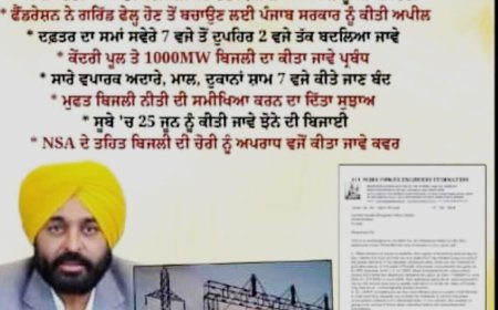 ਆਲ ਇੰਡੀਆ ਪਾਵਰ ਇੰਜਨੀਅਰਜ਼ ਫੈਡਰੇਸ਼ਨ ਦੇ ਚੇਅਰਮੈਨ ਨੇ ਬਿਜਲੀ ਸੰਕਟ ਦੀ ਸਥਿਤੀ ਤੋਂ ਬਚਣ ਲਈ ਮੁੱਖ ਮੰਤਰੀ ਭਗਵੰਤ ਮਾਨ ਨੂੰ ਲਿਖਿਆ ਪੱਤਰ