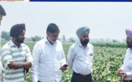 ਸੰਯੁਕਤ ਡਾਇਰੈਕਟਰ ਖੇਤੀਬਾੜੀ ਪੰਜਾਬ ਵੱਲੋਂ ਜਿਲ੍ਹਾ ਸ੍ਰੀ ਮੁਕਤਸਰ ਸਾਹਿਬ ਦਾ ਕੀਤਾ ਦੌਰਾ