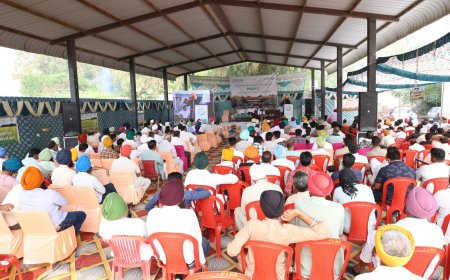 ਆਰ.ਜੀ.ਆਰ ਸੈੱਲ ਲੁਧਿਆਣਾ ਵੱਲੋਂ ਲਗਾਇਆ ਗਿਆ ਜ਼ਿਲ੍ਹਾ ਪੱਧਰੀ ਕਿਸਾਨ ਮੇਲਾ