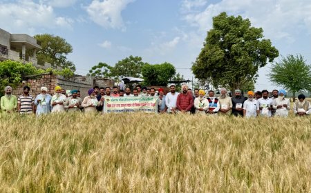 ਕਿਸਾਨ ਪੈਦਾਵਾਰ ਤੋਂ ਪੋਸ਼ਣ ਵੱਲੋਂ ਕਣਕ ਦੀਆਂ ਵੱਧ ਪੋਸ਼ਕ ਤੱਤਾਂ ਵਾਲੀਆਂ ਕਿਸਮਾਂ ਸੰਬੰਧੀ ਖੇਤ ਦਿਵਸ ਦਾ ਆਯੋਜਨ