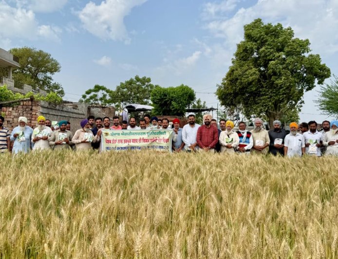 ਕਿਸਾਨ ਪੈਦਾਵਾਰ ਤੋਂ ਪੋਸ਼ਣ ਵੱਲੋਂ ਕਣਕ ਦੀਆਂ ਵੱਧ ਪੋਸ਼ਕ ਤੱਤਾਂ ਵਾਲੀਆਂ ਕਿਸਮਾਂ ਸੰਬੰਧੀ ਖੇਤ ਦਿਵਸ ਦਾ ਆਯੋਜਨ