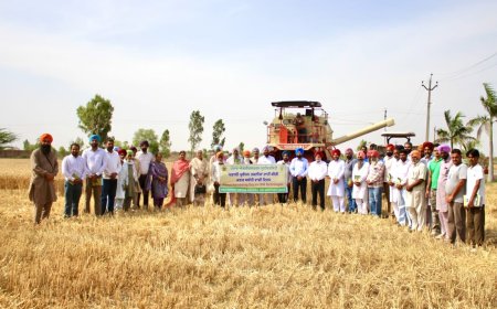 ਪਰਾਲੀ ਪ੍ਰਬੰਧਨ ਸਬੰਧੀ ਸਿਖਲਾਈ ਪਲੇਟਫ਼ਾਰਮ ਵਿੱਚ ਵੱਖ-ਵੱਖ ਤਕਨੀਕਾਂ ਰਾਹੀਂ ਬੀਜੀ ਕਣਕ ਸਬੰਧੀ ਵਾਢੀ ਦਿਵਸ ਦਾ ਕੀਤਾ ਗਿਆ ਆਯੋਜਨ