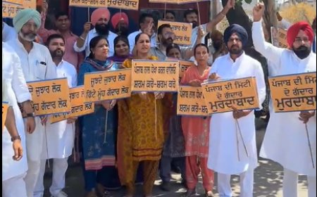 ਮਲੋਟ ਵਿੱਚ ਆਪ ਆਗੂਆਂ ਨੇ ਰਾਘਵ ਚੱਡਾ ਦਾ ਫੂਕਿਆ ਪੁਤਲਾ