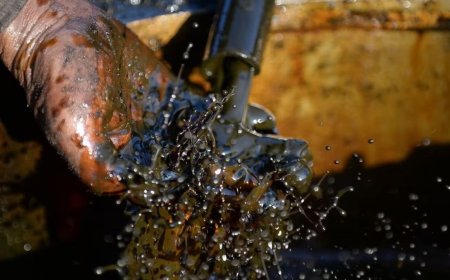 ਪੰਜਾਬ ਵਿੱਚ ਪੋਟਾਸ਼ ਪਿੱਛੋਂ ਹੁਣ ਕੁਦਰਤੀ ਗੈਸ ਅਤੇ ਤੇਲ ਭੰਡਾਰਾਂ ਦੀਆਂ ਵੱਡੀਆਂ ਸੰਭਾਵਨਾਵਾਂ- ਬਰਿੰਦਰ ਕੁਮਾਰ ਗੋਇਲ