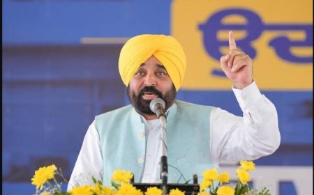 ਪੰਜਾਬ ਦੇ ਮੁੱਖ ਮੰਤਰੀ ਭਗਵੰਤ ਮਾਨ ਨੇ ਕੀਤਾ ਐਲਾਨ 15 ਅਗਸਤ ਤੋਂ ਹਰ ਸਰਪੰਚ ਨੂੰ ਦਿੱਤਾ ਜਾਵੇਗਾ 10000 ਰੁਪਏ ਪ੍ਰਤੀ ਮਹੀਨਾ ਮਾਣ-ਭੱਤਾ