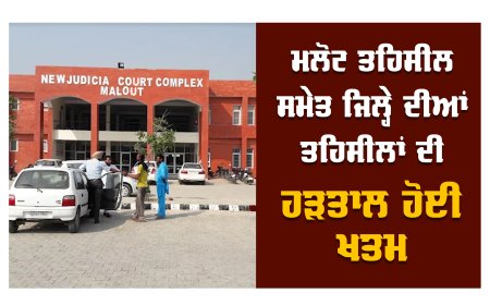 ਮਲੋਟ ਤਹਿਸੀਲ ਸਮੇਤ ਜ਼ਿਲ੍ਹੇ ਵਿੱਚ ਹੜਤਾਲ ਹੋਈ ਖਤਮ, ਮੁੜ ਸ਼ੁਰੂ ਹੋਇਆ ਰਜਿਸਟਰੀਆਂ ਦਾ ਕੰਮ