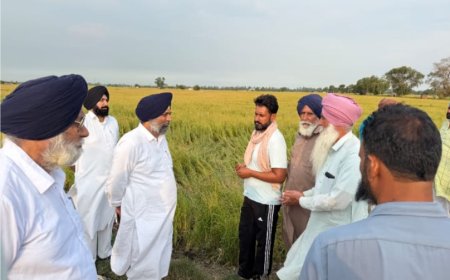 ਗੜ੍ਹੇਮਾਰੀ ਨਾਲ ਤਬਾਹ ਹੋਈਆਂ ਫ਼ਸਲਾਂ ਲਈ 50000 ਪ੍ਰਤੀ ਏਕੜ ਮੁਆਵਜ਼ਾ ਦੇਵੇ ਸਰਕਾਰ- ਹਲਕਾ ਮਲੋਟ ਇੰਚਾਰਜ ਹਰਪ੍ਰੀਤ ਸਿੰਘ ਕੋਟਭਾਈ