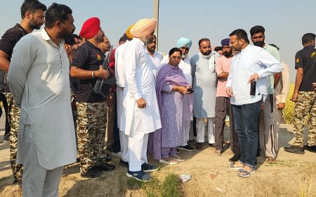 ਮਲੋਟ ਹਲਕੇ ਵਿੱਚ ਮੀਂਹ ਅਤੇ ਗੜ੍ਹੇਮਾਰੀ ਨਾਲ ਝੋਨੇ ਦੀ ਫ਼ਸਲ ਦੇ ਨੁਕਸਾਨ ਦਾ ਜਾਇਜ਼ਾ ਲੈਣ ਪਹੁੰਚੇ ਕੈਬਨਿਟ ਮੰਤਰੀ ਡਾ. ਬਲਜੀਤ ਕੌਰ