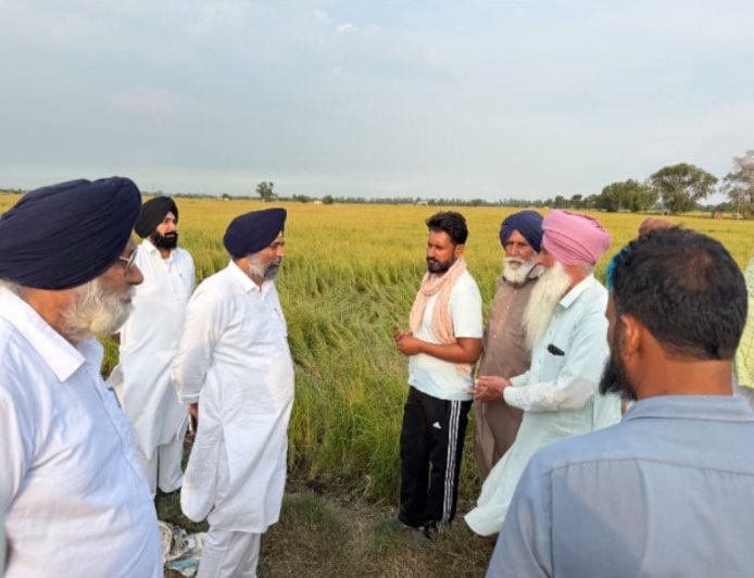 ਗੜ੍ਹੇਮਾਰੀ ਨਾਲ ਤਬਾਹ ਹੋਈਆਂ ਫ਼ਸਲਾਂ ਲਈ 50000 ਪ੍ਰਤੀ ਏਕੜ ਮੁਆਵਜ਼ਾ ਦੇਵੇ ਸਰਕਾਰ- ਹਲਕਾ ਮਲੋਟ ਇੰਚਾਰਜ ਹਰਪ੍ਰੀਤ ਸਿੰਘ ਕੋਟਭਾਈ